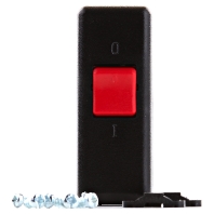 924.051 - Cord switch black 924.051