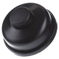 924.062 - Cord switch black 924.062