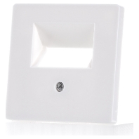 14096089 - Central cover plate UAE/IAE (ISDN) 14096089