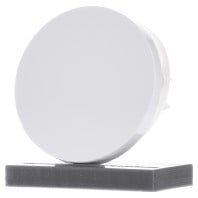 16202089 - Cover plate for switch/push button white 16202089