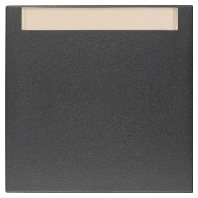 16261606 - Cover plate for switch/push button 16261606