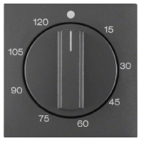 16331606 - Cover plate for time switch anthracite 16331606