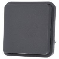 6130763545 - Cover plate for switch/push button grey 6130763545
