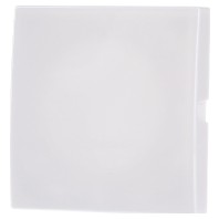 1576 C-914 - Cover plate for Blind plate white 1576 C-914
