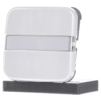 2506 N-214 - Cover plate for switch/push button white 2506 N-214