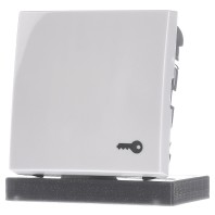 2520 TR-914 - Cover plate for switch/push button white 2520 TR-914
