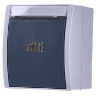 2621 WN-53-201 - Push button 1 make contact (NO) cyan 2621 WN-53-201