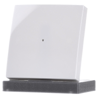 6230 10 914 Touch Rocker For Home Automation White 10 huismerk kopen in de aanbieding 6230 10 914 Touch Rocker For Home Automation White 10 huismerk kopen in de aanbieding