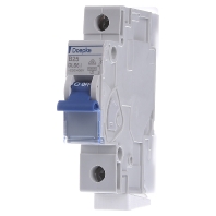 Dls 6I B25 1 10 Ka Miniature Circuit Breaker 1 P B25A 6I 1 10 Ka huismerk kopen in de aanbieding Dls 6I B25 1 10 Ka Miniature Circuit Breaker 1 P B25A 6I 1 10 Ka huismerk kopen in de aanbieding