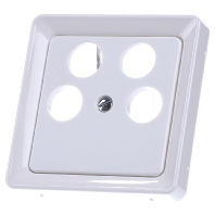 206054 - Central cover plate 206054