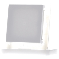 BLA55-wg Cover plate for switch-push button white BLA55-wg
