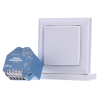LED dimmer Eltako draadloos FUD61NPN en FT55 wit