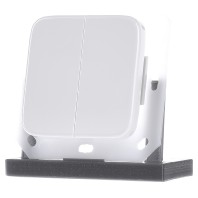 FT55R-alpinweiß - Remote control for switching device FT55R-alpinweiß