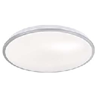 20812 - Ceiling-/wall luminaire 20812