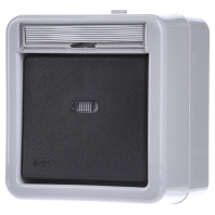 010631 - 3-way switch (alternating switch) 010631