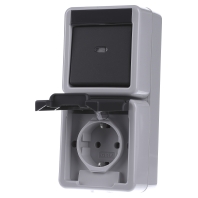 017630 - Combination switch/wall socket outlet 017630