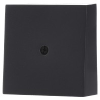 027428 - Central cover plate 027428