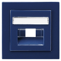 028446 - Central cover plate UAE/IAE (ISDN) 028446