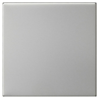 5372600 - Cover plate for switch stainless steel 5372600