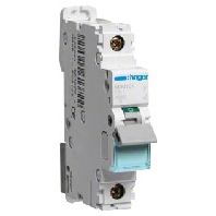NDN101 - Miniature circuit breaker 1-p D1A NDN101