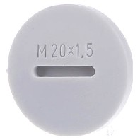 Jacob blindmoer M20