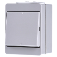 603 W - 3-pole switch surface mounted grey 603 W