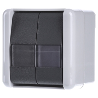 835 NAW - Push button 2 make contacts (NO) grey 835 NAW