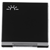 A 590 L SW - Cover plate for switch/push button black A 590 L SW