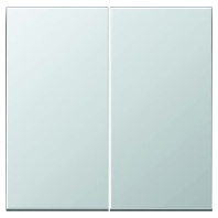 AL1702 - Control button 2-fold standard AL1702
