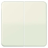 CD1702 - Control button 2-fold standard CD1702
