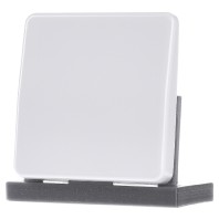 CD 1700 WW - Intelligent control element white CD 1700 WW