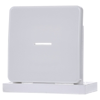 CD 590 KO5 WW - Cover plate for switch/push button white CD 590 KO5 WW