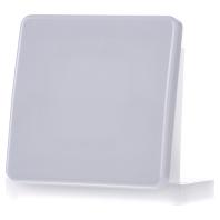CD 590 LG - Cover plate for switch/push button grey CD 590 LG