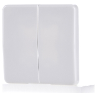 Cd 595 Ww Cover Plate For Switchpush Button Cd Ww huismerk kopen in de aanbieding Cd 595 Ww Cover Plate For Switchpush Button Cd Ww huismerk kopen in de aanbieding