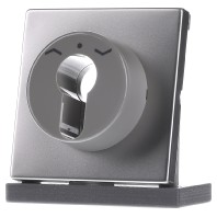 ES 2928 - Cover plate for switch stainless steel ES 2928