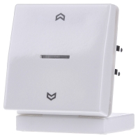 Fm As 5232 Ww Roller Shutter Control Surface Mounted Fm As Ww huismerk kopen in de aanbieding Fm As 5232 Ww Roller Shutter Control Surface Mounted Fm As Ww huismerk kopen in de aanbieding