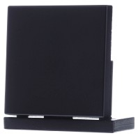 LS990SWM - Cover plate for switch/push button black LS990SWM
