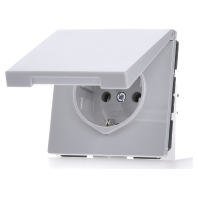 LS 1520 KL LG - Socket outlet (receptacle) LS 1520 KL LG