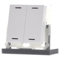 BE-TAL5502.01 - EIB, KNX, Push Button Lite 55 2-fold, RGBW, neutral, White glossy finish - BE-TAL5502.01