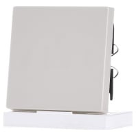 434144 Cover Plate For Switchpush Button huismerk kopen in de aanbieding 434144 Cover Plate For Switchpush Button huismerk kopen in de aanbieding