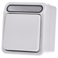 Meg3116 8019 Two Way Switch Surface Mounted White Special Offer huismerk kopen in de aanbieding Meg3116 8019 Two Way Switch Surface Mounted White Special Offer huismerk kopen in de aanbieding