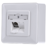 E-DAT C6A 2 AP rws - RJ45 8(8) Data outlet 6A (IEC) white E-DAT C6A 2 AP rws