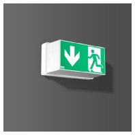 651817.002 - Emergency luminaire 2W IP40 3h 651817.002
