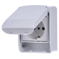 81141 - Socket outlet (receptacle) 81141