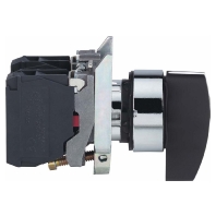 XB4BJ53 - Handle switch 2NO/0NC XB4BJ53