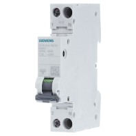 Siemens 5SV60167KK16 Brandbeveiliging switch 2-polig 16 A 230 V