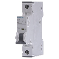 5SY4106-5 - Miniature circuit breaker 1-p A6A 5SY4106-5