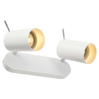 147412 - Ceiling-/wall luminaire 2x50W 147412