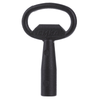 Zh158 Three Square Key For Enclosure huismerk kopen in de aanbieding Zh158 Three Square Key For Enclosure huismerk kopen in de aanbieding