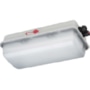 Explosion proof luminaire fixed mounting e855F L20 DIMD